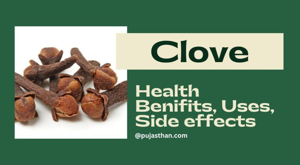 Amazing Health Benefits Of Cloves Uses, Nutrition And Side Effects