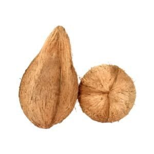 Brown Coconut