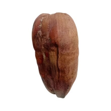 Buy Dry Coconut With Husk Shell, Sukha Nariyal Online for Puja - Pujasthan