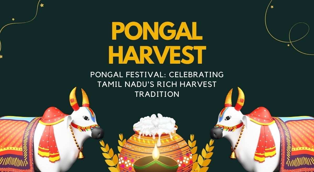 Pongal Festival